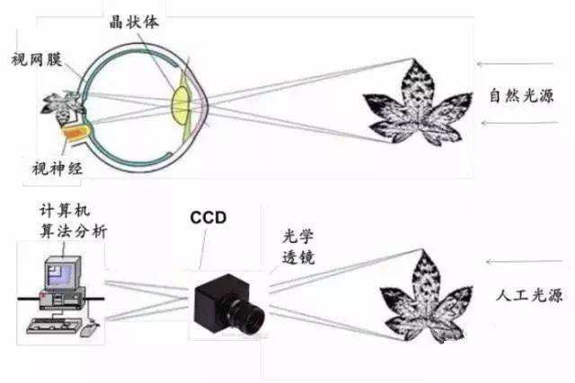 1591234287287538.jpg timg (6).jpg